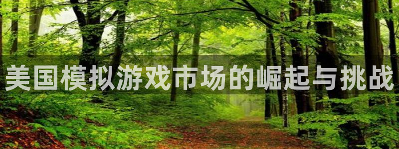 db电竞官网注册方法是什么：美国模拟游戏市场的崛起与挑战