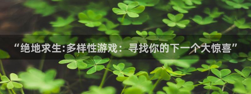 南京db电竞子电子商务有限公司：“绝地求生:多样性游戏：寻找你的下一个大惊喜”