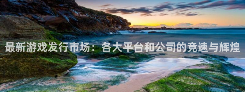 db电竞集团