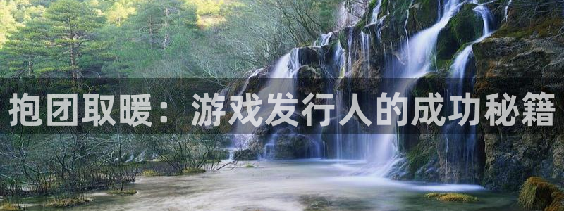 法国db电竞：抱团取暖：游戏发行人的成功秘籍