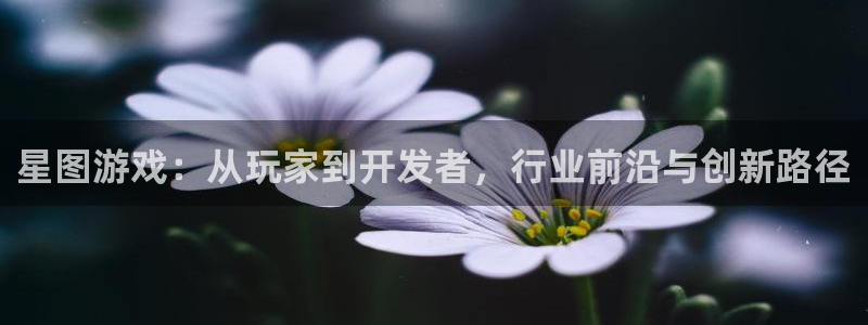 db电竞官网登录注册账号密码：星图游戏：从玩家到开发者，行业前沿与创新路径
