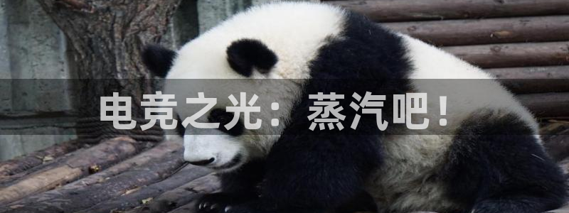 db电竞品牌：电竞之光：蒸汽吧！