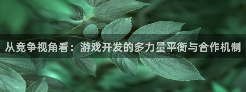 db电竞官网登录注册不了账号：从竞争视角看：游戏开发的多力量平衡与合作机制