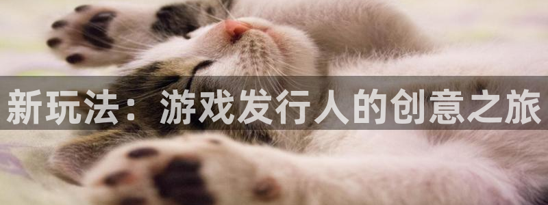 db电竞怪兽：新玩法：游戏发行人的创意之旅