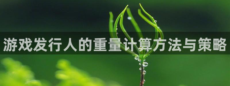 db电竞官网注册方法视频下载：游戏发行人的重量计算方法与策略