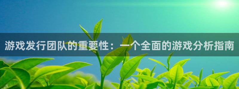 db电竞官网的奇趣腾讯是真的吗吗：游戏发行团队的重要性：一个全面的游戏分析指南