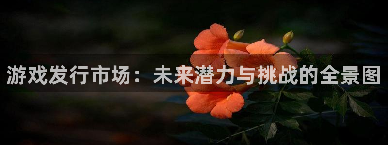 作者db电竞子：游戏发行市场：未来潜力与挑战的全景图