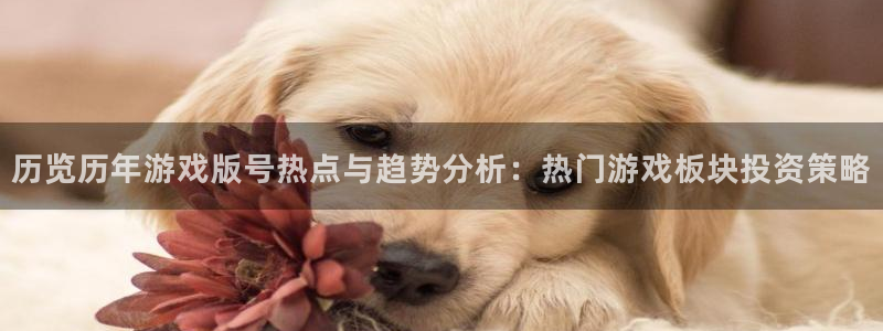 db电竞啤酒怎么样：历览历年游戏版号热点与趋势分析：热门游戏板块投资策略