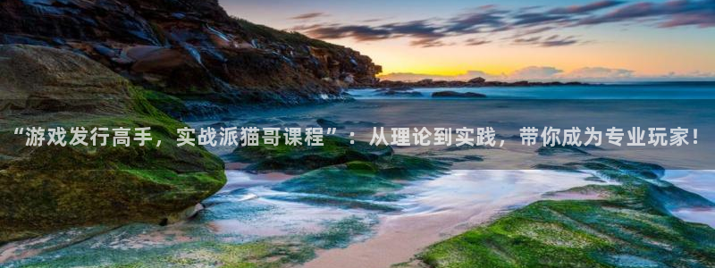 lvncesdb电竞衣服价格