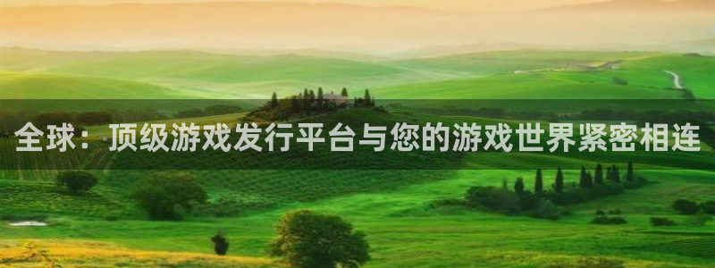 db电竞球队