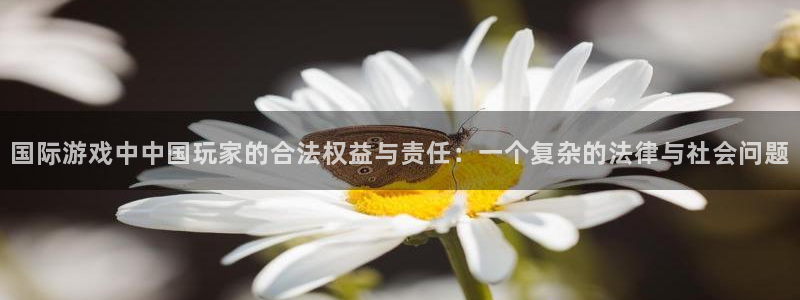 db电竞lvnces是什么档次