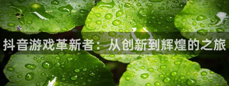 db电竞官网平台招商qq
