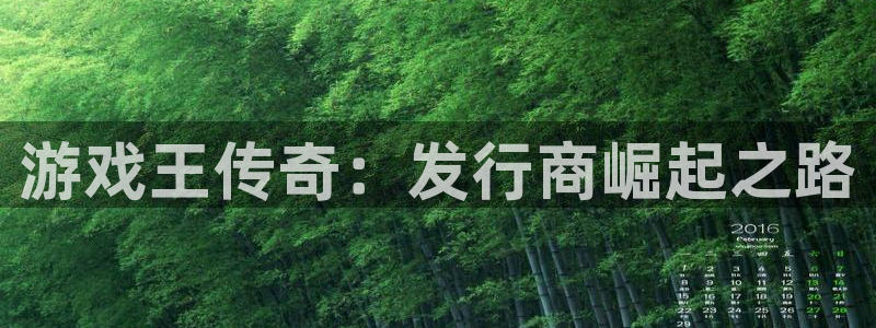 db电竞官网注册方法有哪些呢：游戏王传奇：发行商崛起之路