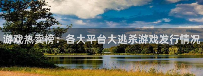 db电竞是哪个国家的衣服品牌：游戏热卖榜：各大平台大逃杀游戏发行情况