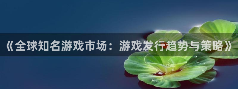 广州db电竞电子商务